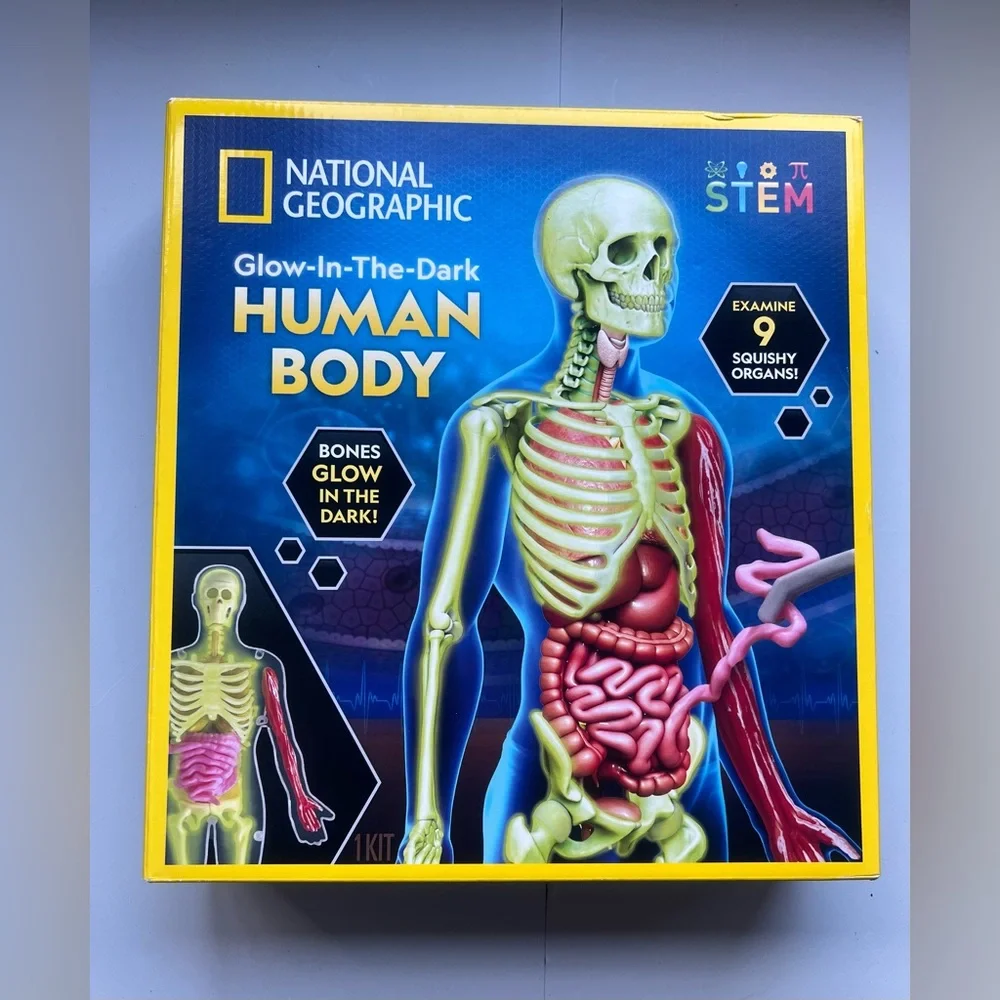 National Geographic Glow-In-The-Dark Human Body: Science Kit & Activity Guide